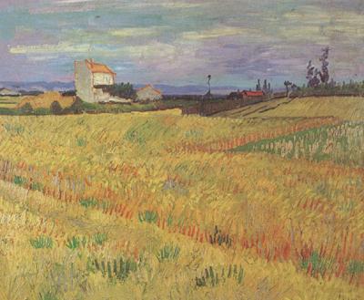 Vincent Van Gogh Wheat Field (nn04) china oil painting image